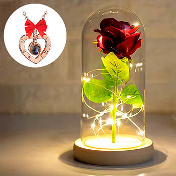 Троянда в колбі з підсвіткою 21см + Подарунок Кулон з ланцюжком / Вічна троянда квітка в колбі