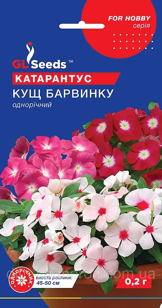 Насіння Катарантусу Кущ барвiнку; (0.1г), фото 1