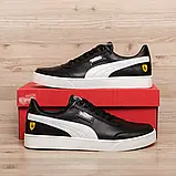 Спортивні демісезонні кросівки, кеди з натуральної шкіри, фото 6