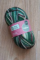 Меланжева пряжа (нитки для в'язання) Alison&Mae, 100г,  238m