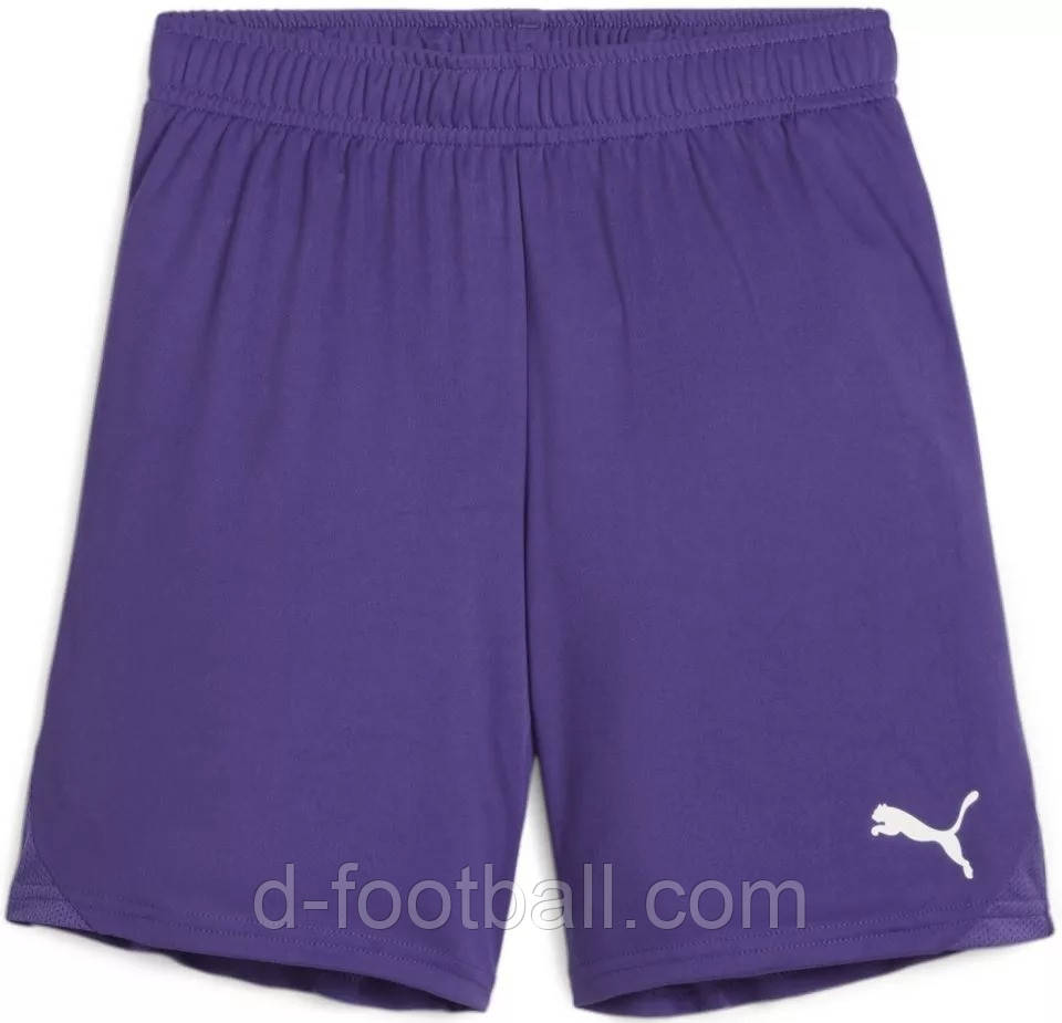 Шорти дитячі PUMA teamGOAL Violet-PUMA 705753-10, Фіолетовий, Розмір (EU) — 152cm