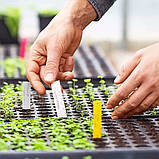 Касета для розсади 288 осередків (28*54 см), фото 4