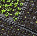 Касета для розсади 288 осередків (28*54 см), фото 5