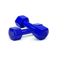 Гантелі для фітнесу Vinyl NE-VIN-1-B 2 шт по 1 кг, сині