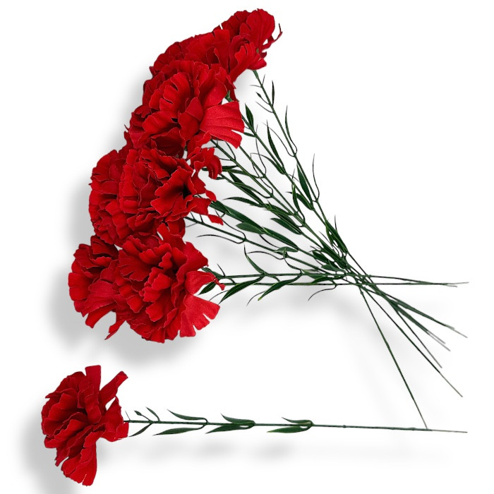 Гвоздика оксамитова оксамит, 60 см, фото 1