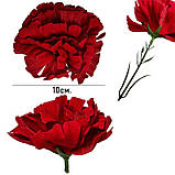 Гвоздика оксамитова оксамит, 60 см, фото 6