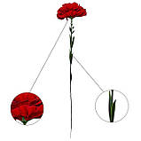 Гвоздика оксамитова оксамит, 60 см, фото 7