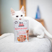Вологий корм для котів Brit Care Cat pouch індичка з лососем в соусі, 85г, фото 3