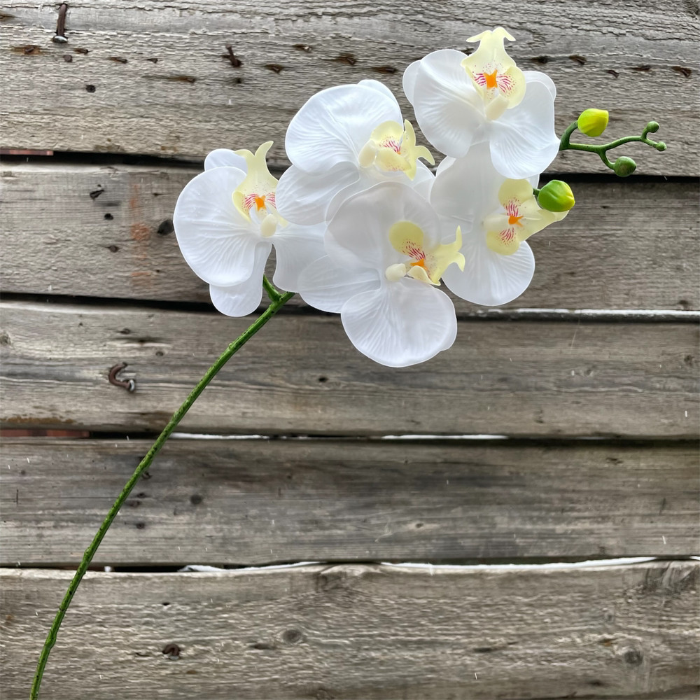 Штучна Орхідея гілка фаленопсис силікон біла 68 см, фото 1