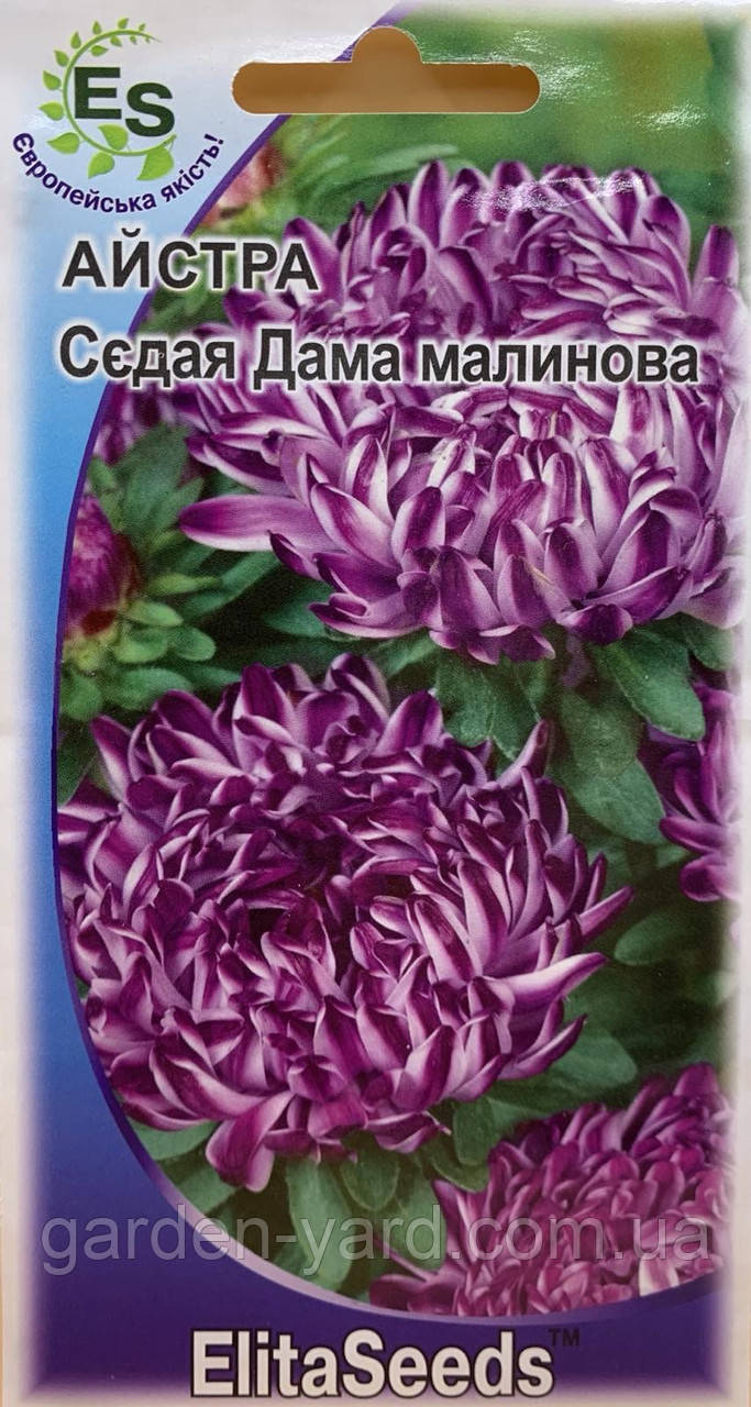 Насіння айстра Сєдая Дама малинова 0,2г. ElitaSeeds