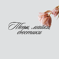 Бюстгальтери