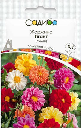 Насіння жоржини Гігант суміш 0,1 г, Hем Zaden, фото 1