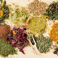 Екстракти рослин (сухі)