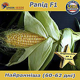 Найранніша цукрова кукурудза Рапід F1, ТМ Spark Seeds (США), фото 2