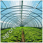 Плівка для теплиць тришарова UV4 зелена 120 мкм ширина 8 м 24 місяці на метраж Планета Пластик, фото 5