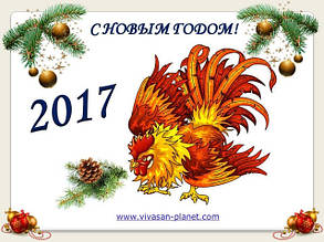 C Новим, 2017 роком!