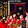Програмовна новорічна гірлянда Кінський хвіст з пультом і керуванням із телефона SFK-02 Bluetooth USB, фото 4