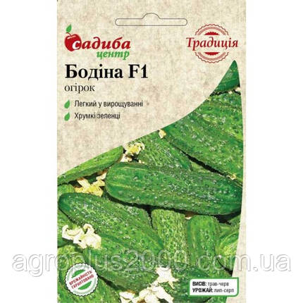 Насіння Огірок самозапильний Бодіна F1, 10 насінин Satimex, фото 1