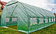 Садова теплиця з вікнами FunFit Garden 18m2 = 600*300*200 (Зелена) (1483), фото 3