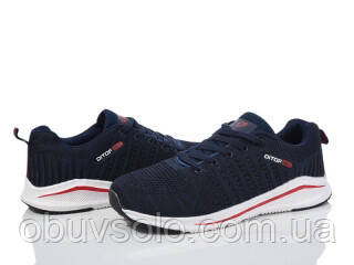 Кросівки чоловічі Lion, фото 1