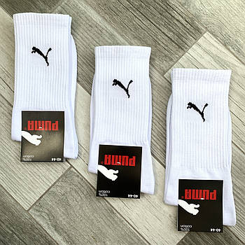Шкарпетки чоловічі демісезонні бавовна високі Puma Exclusive, Туреччина, розмір 40-44, білі, 11630