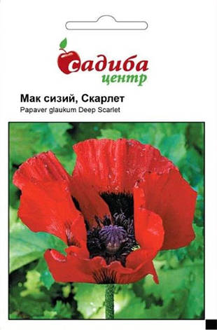 Насіння маку Скарлет червоний сизий, 0,1 г, Садиба, фото 1