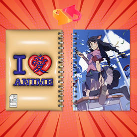 Блокноти Bakemonogatari / Цикл Історій