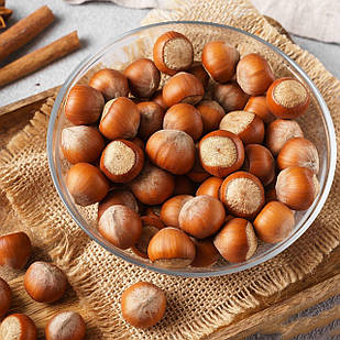 Саджанці Фундука (ліщини) Фуктурамі - ранній, великоплідний, промисловий