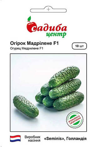 Насіння огірка Мадрілен F1, 10 шт., Садиба, фото 1