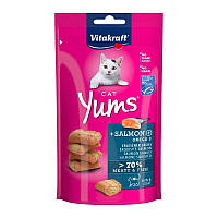Ласощі для котів Vitakraft Cat Yums Salmon Omega 3 40 г