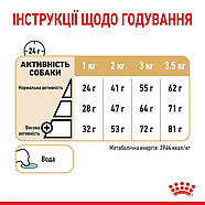 Royal Canin Dog Pomeranian Adult (Роял Канін Померанський шпіц) для дорослих собак 500г, фото 3