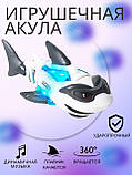 Механічна іграшка біла Акула обертається на 360 + звук, фото 2