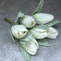 Тюльпан з напиленням, розмір бутона-4,5 см, довжина 15 см, колір- світло-салатовий, арт 012906, букет-6 шт., світло-салатовий