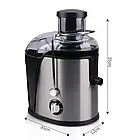 Соковижималка RAF R.2805 450ml 250W Silver-Black Лучшая цена, фото 5