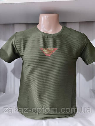 Футболка чоловіча норма гуртом (M-2XL) Туреччина-132013, фото 1