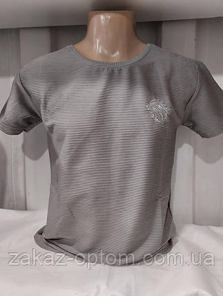 Футболка чоловіча норма гуртом (M-2XL) Туреччина-132023, фото 1