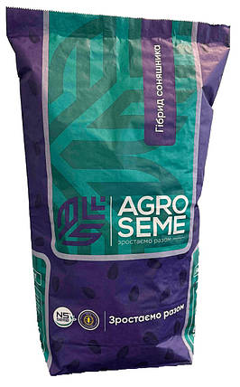 Соняшник НС Х 6749 Agro Seme (Стандарт), фото 1