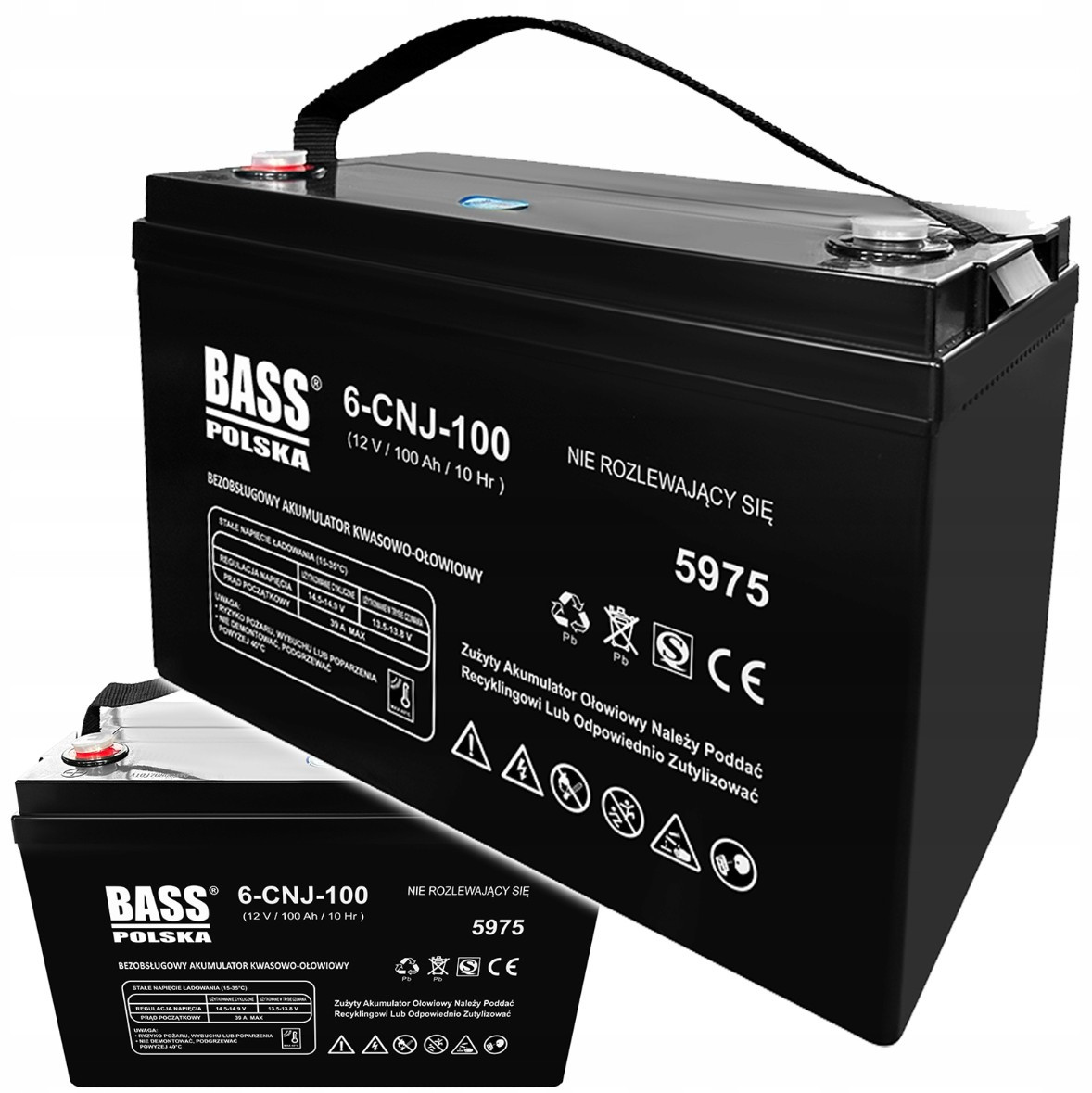 Акумулятор VRLA AGM 12V 100Ah Bass Polska 5975 для ДБЖ та інвертерів