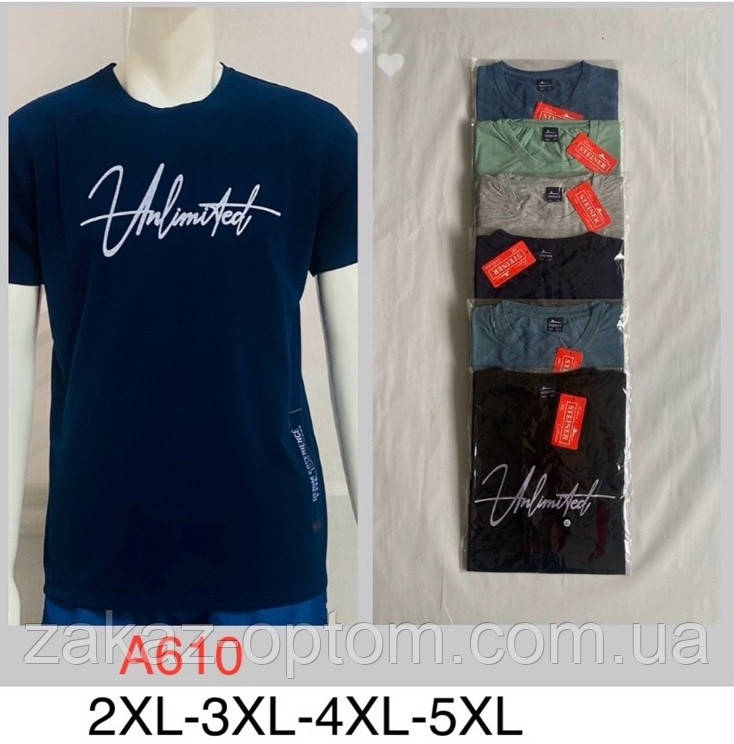 Футболка чоловіча оптом (2XL-5XL) Китай А610-132038