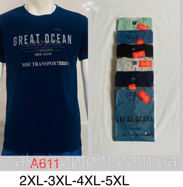 Футболка чоловіча оптом (2XL-5XL) Китай А611-132039