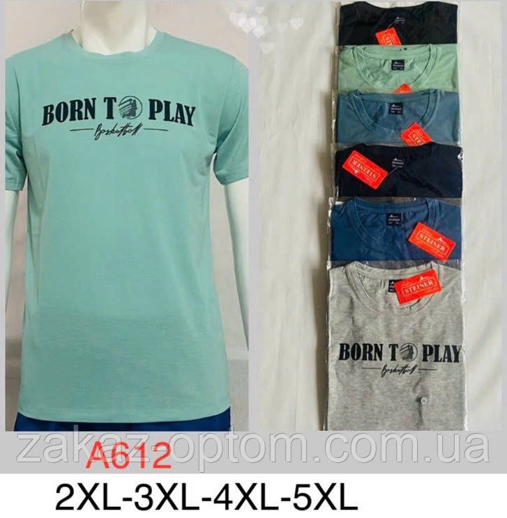 Футболка чоловіча оптом (2XL-5XL) Китай А612-132040