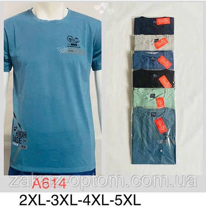 Футболка чоловіча оптом (2XL-5XL) Китай А614-132042, фото 1
