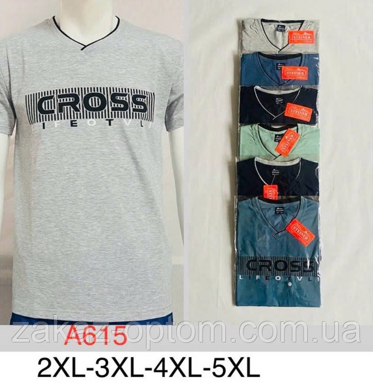 Футболка чоловіча оптом (2XL-5XL) Китай А615-132043