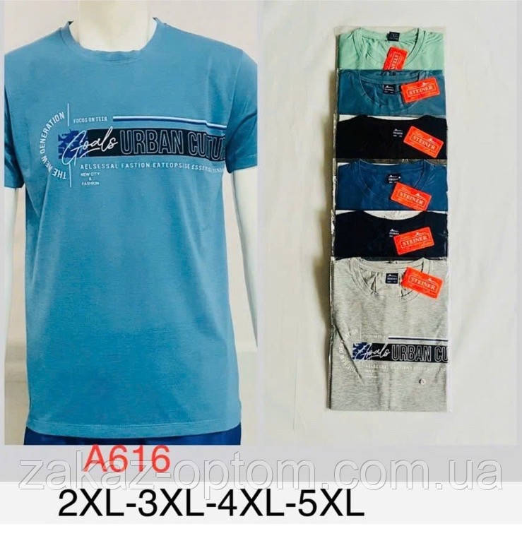 Футболка чоловіча оптом (2XL-5XL) Китай А616-132044