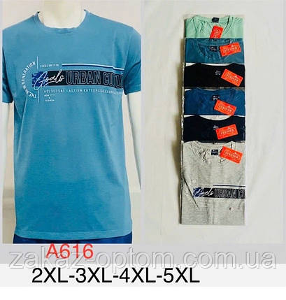 Футболка чоловіча оптом (2XL-5XL) Китай А616-132044, фото 1