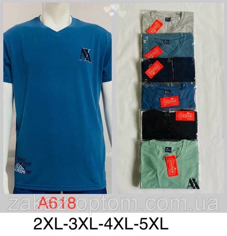 Футболка чоловіча оптом (2XL-5XL) Китай А618-132045