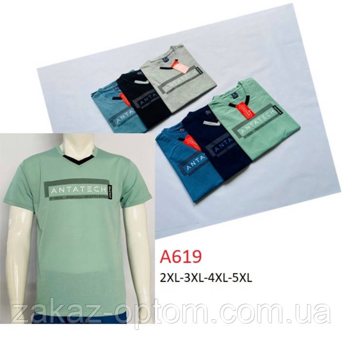 Футболка чоловіча оптом (2XL-5XL) Китай А619-132046