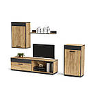 Дизайнерська стінка у вітальню з ТВ тумбою Відкритою навісною полицею Підлогою та настінним шафою з ЛДСП, фото 2