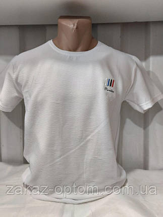 Футболка чоловіча норма гуртом (M-2XL) Туреччина-132088, фото 1