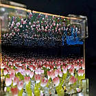 Зібраний нічник Нескінченні Тюльпани, 10х10см, у Подарунковій коробці, від батарейок / Світильник тюльпани, фото 6